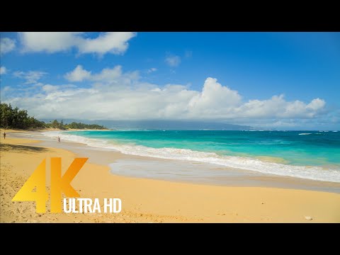 4K Nature Documentary Film - Maui, Hawaii - Short Preview Video