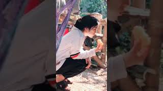 Download lagu BULAN SUTENA - TERPESONA mp3