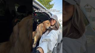 Not him literally attacking me 😳 #goldenretriever #family #thegoldenwalk #doglove #dogfoodbrands