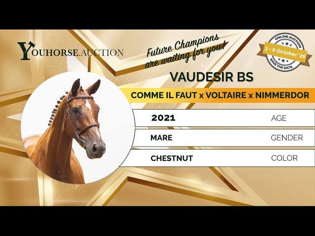 Vaudesir BS