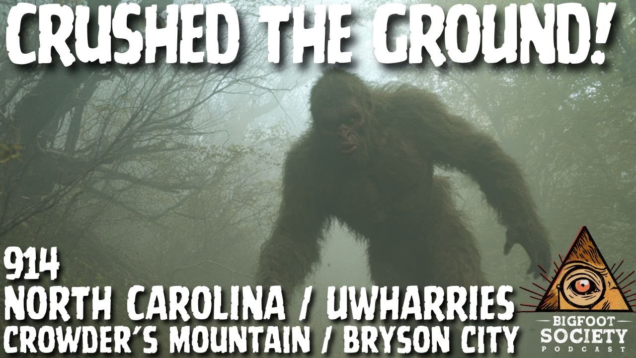 Sasquatch Interrupted Our Getaway! | North Carolina