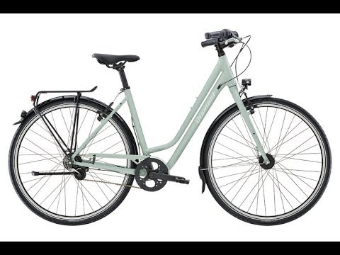 Fahrrad XXL Unboxing - Diamant 882 2018 Moreagrün
