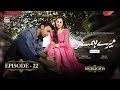 Mere Humsafar Episode 22 | Hania Aamir | Farhan Saeed | Highlights #ARYDigital