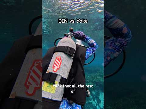 Two types of Scuba Regulators for recreational divers 🤿✌️ #scubagear #scubadiving #howthingswork