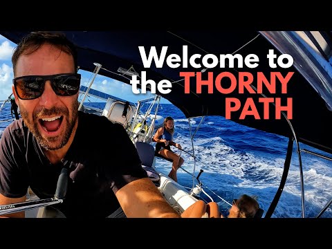 Thorny Path Begins: Sailing to Calabash Bay (Ep.155)   |  ⛵ The Foster Journey
