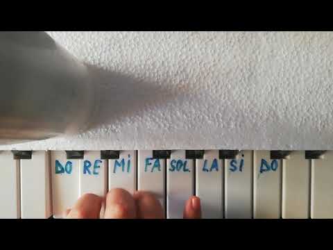 Tutorial pentru începători la pian/orgă 2