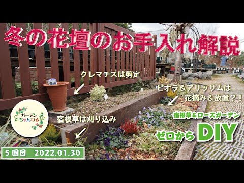 冬に庭で馬糞を使用するにはどうすればよいですか？利点、アドバイス、使用方法  庭園