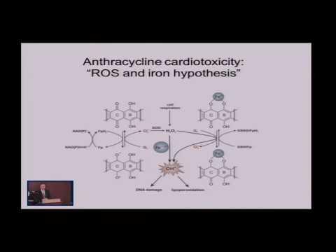 Anthracycline Cardiotoxicity: The Role of Cardio-Oncology in Management - YouTube