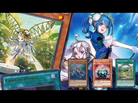 An Aroma Deck with Aromaseraphy Angelica, Cactus Bouncer AND Card of Demise... (AWW SH!T)