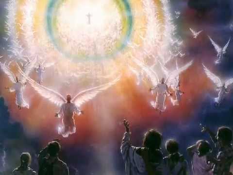 Ana Beatriz - Novo Lar