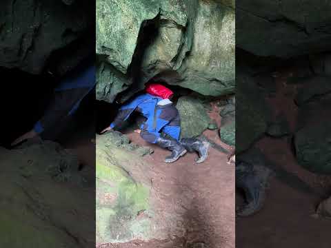 La cueva de Mauricio. Miranda, Venezuela.