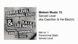 Served Level - Paranormal Static // Meleon Music 13