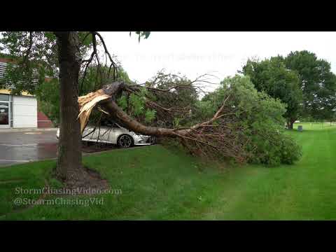 Scott County, MN storm damage - 7/12/2019