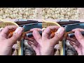 Immersive Garlic Peeling ASMR Satisfying And Relaxing Garlic Peeling Sounds Decompression