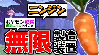 これで困らない！無限ニンジン製造装置の作り方【ぽこあポケモン】