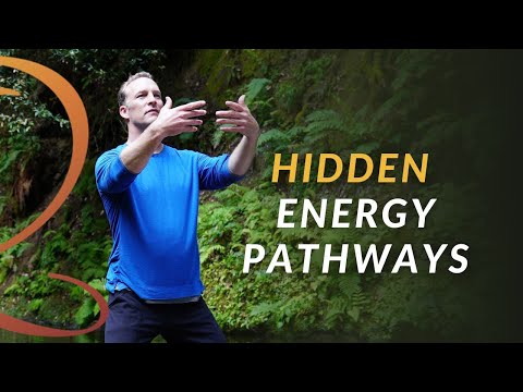 The Hidden Energy Pathways You Were Born With (But Never Learned to Use)