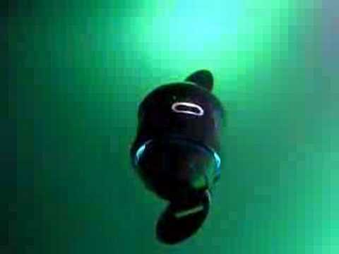 CES 2008: Hands on with the Sony Rolly