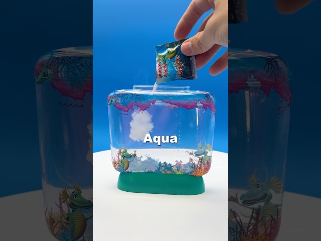 Vídeo relacionado con Aqua Dragons Underwater World EGGspress Tank, Juguete Educativo Stem, Mascota acuática para incubar y Crecer, Incluye Huevos, Comida, Cuchara, para niños de 6 años en adelante (10 cm x 10 cm x 14 cm)