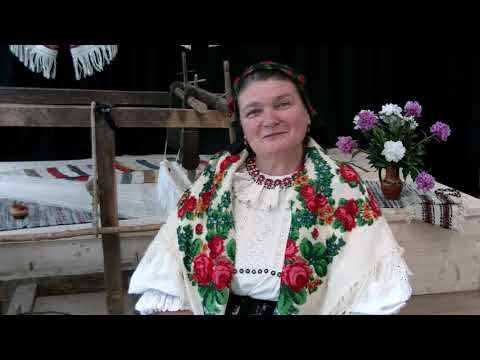 Come to Bihor and let's work together