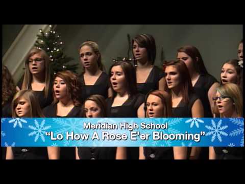 SOS13 MHS Low How A Rose E er Blooming 0201