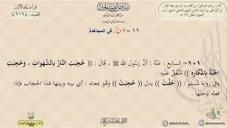 رياض الصالحين : الحديث (101) باب في المجاهدة || د. ماهر ياسين الفحل image