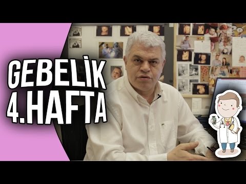 Doktor Evinde - Gebelik 4. Hafta