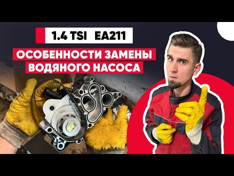 Всё, что нужно знать о замене насоса системы охлаждения 1.4 TSI EA211-TSI