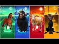 Magic Animals Horse Ferdinand Cow Coffin Dance Song