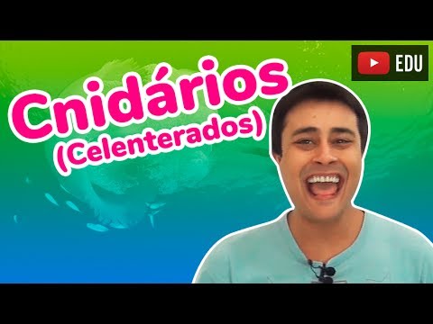 Cnidários (Celenterados) - Reino Animalia (Zoologia) - Prof. Paulo Jubilut