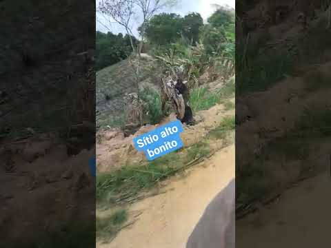 são Benedito do Sul Pernambuco #nordeste