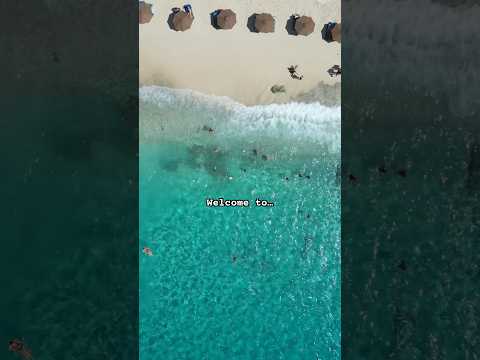 📍Kenepa Chiki, Curaçao 🇨🇼