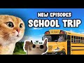 CAT MEMES: SCHOOL TRIP 2