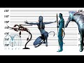 Avatar Size Comparison The Biggest Characters Of Avatar Size Comparison