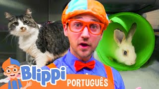 Blippi Visita um Abrigo de Animais! 😺 Gatos, Cães e Coelhos! 🐰 Vídeos Educativos para Crianças