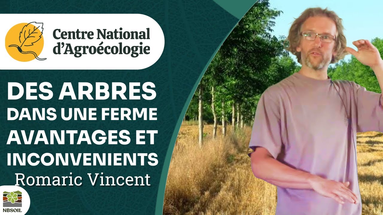Des arbres dans une ferme : avantages et inconvénients, Romaric Vincent - CNA