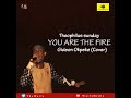 Theophilus sunday _you are the fire_Gideon Okpeke  (cover)