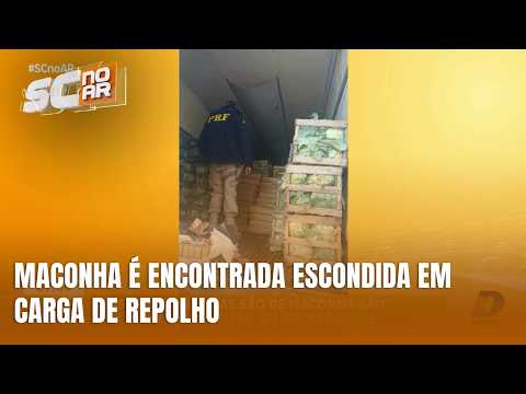 PRF apreende 2,46 toneladas de maconha escondidas em carga de repolho