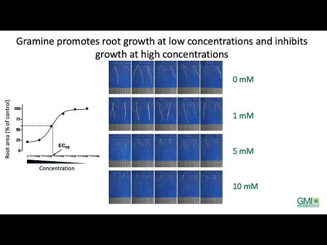 EPPN2020 Access-Experiment: 