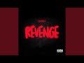 Revenge