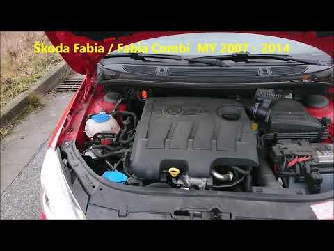 Watch Skoda Fabia II [2007-2014] VIN Location Guide
