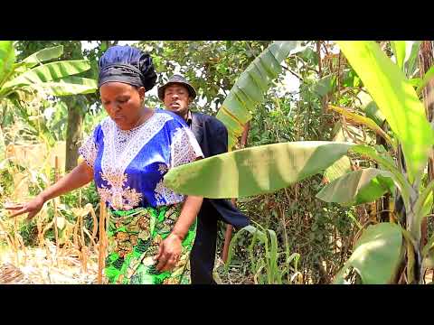 BIJIYOBIJA ARAKUBISWE  AZIRA IGITOKI COMED