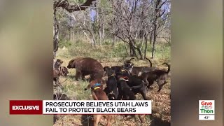 Watch: Newly released video at center of push to tighten Utah bear chasing rules