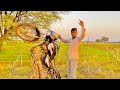 स्प्लेंडर को आगे से उठाया Splendor Wheelie Stunt