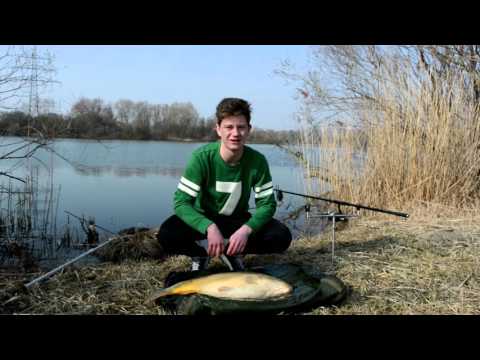 Angeln auf Karpfen im Frühjahr