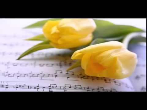 cancion  de aniversario.....vals...{olas del  danubio}  para quinceaños,,matrimonios........