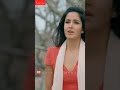 Shahrukh Khan Katrina Kaif Best Sad Love Status Shahbazahmad Shorts Youtubeshorts Srk Shahrukhkhan
