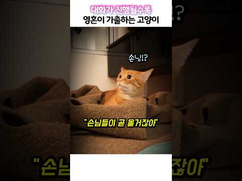 대화가 진행될수록 영혼이 가출하는 고양이