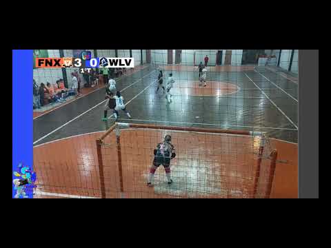 PRIMEIRA RODADA CAFF fenix X wolves