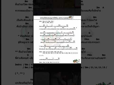 คอร์ดเพลงบ่โสดบ่อนุญาตให้จีบ #คอร์ดกีตาร์ #คอร์ดเพลง #คอร์ดเพลงcva