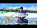 Video Thumbnail for Ice Fishing Abraham Lake in Alberta, Big Lake Trout